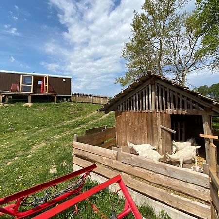Maringotka Na Samote Na Kozi Farme 호텔 Pobezovice 외부 사진