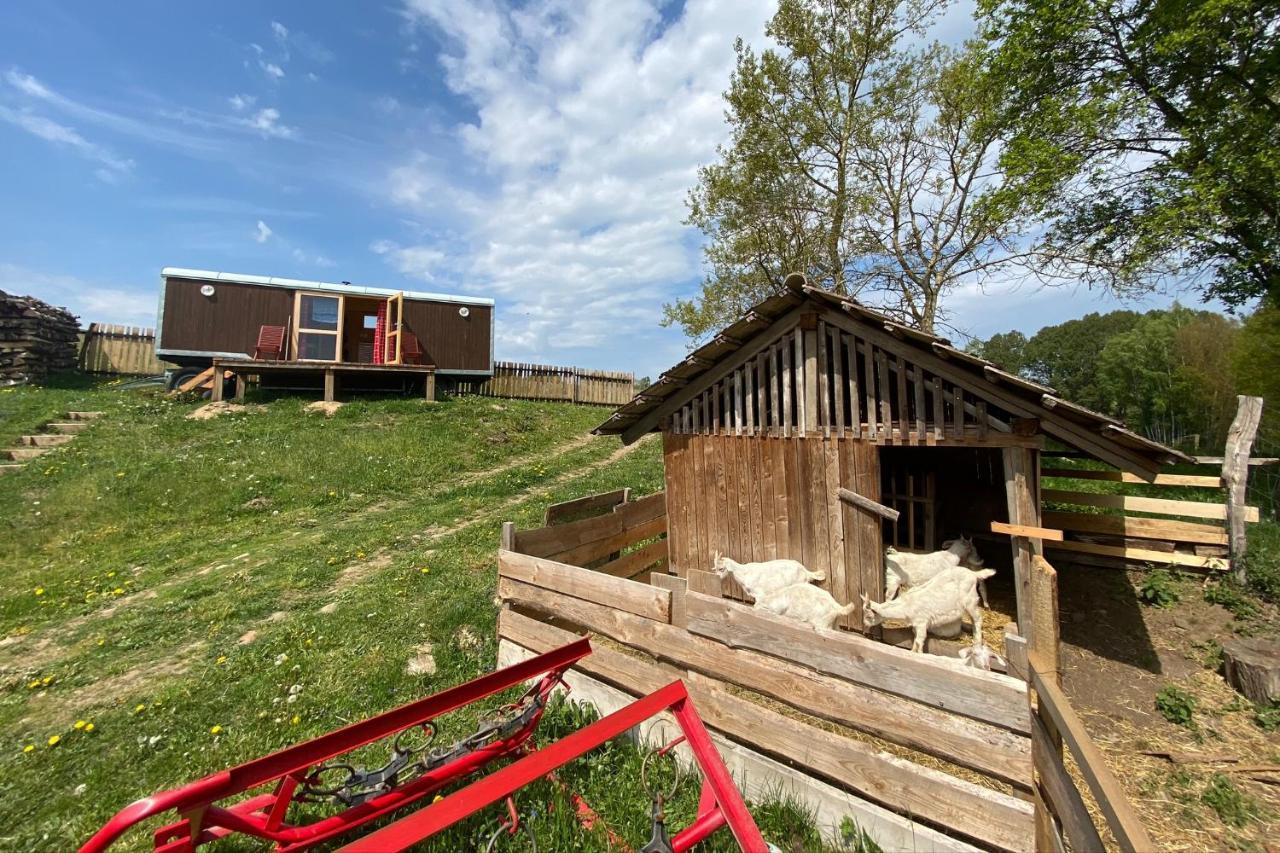 Maringotka Na Samote Na Kozi Farme 호텔 Pobezovice 외부 사진