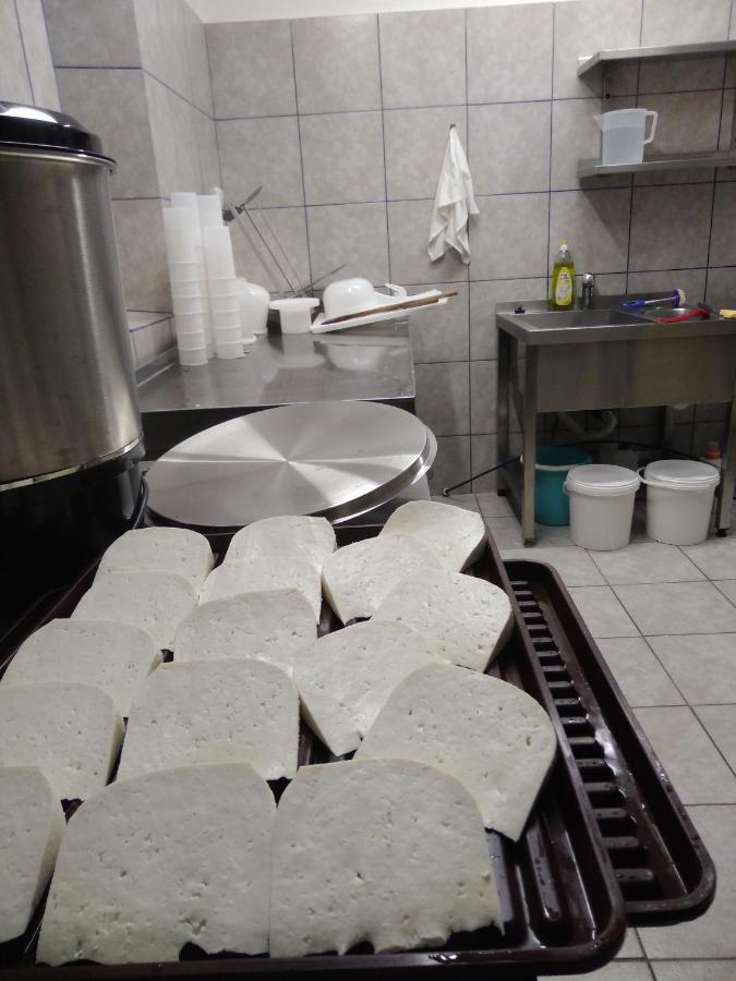 Maringotka Na Samote Na Kozi Farme 호텔 Pobezovice 외부 사진